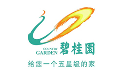 碧桂園-美聯伙伴