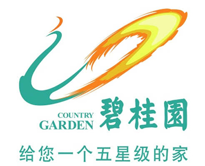 碧桂園-美聯伙伴