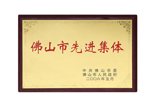 佛山市先進(jìn)集體-美聯(lián)榮譽(yù)