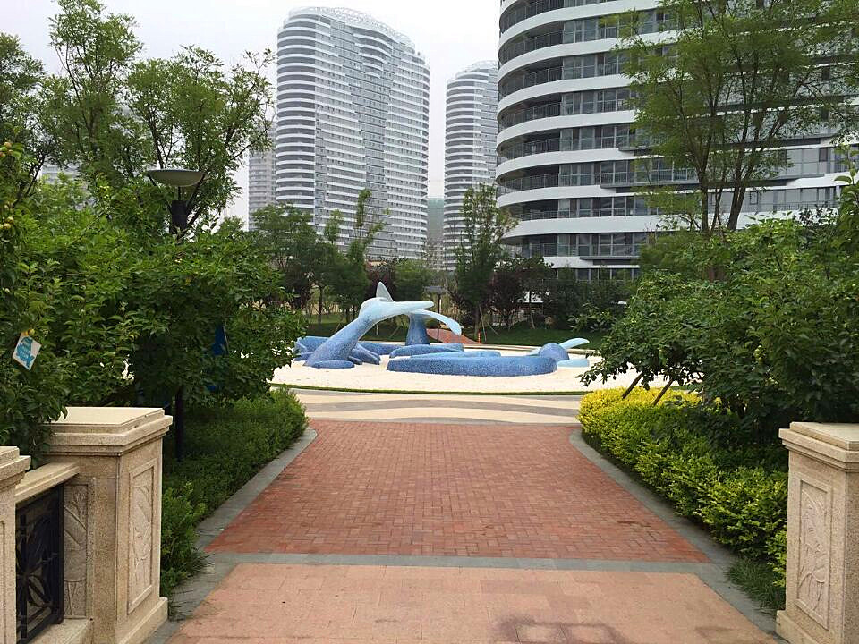 東戴河555